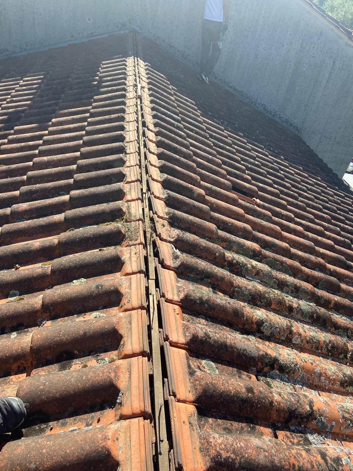 WhatsApp Image 2025-01-01 at 01.19.12 (10)