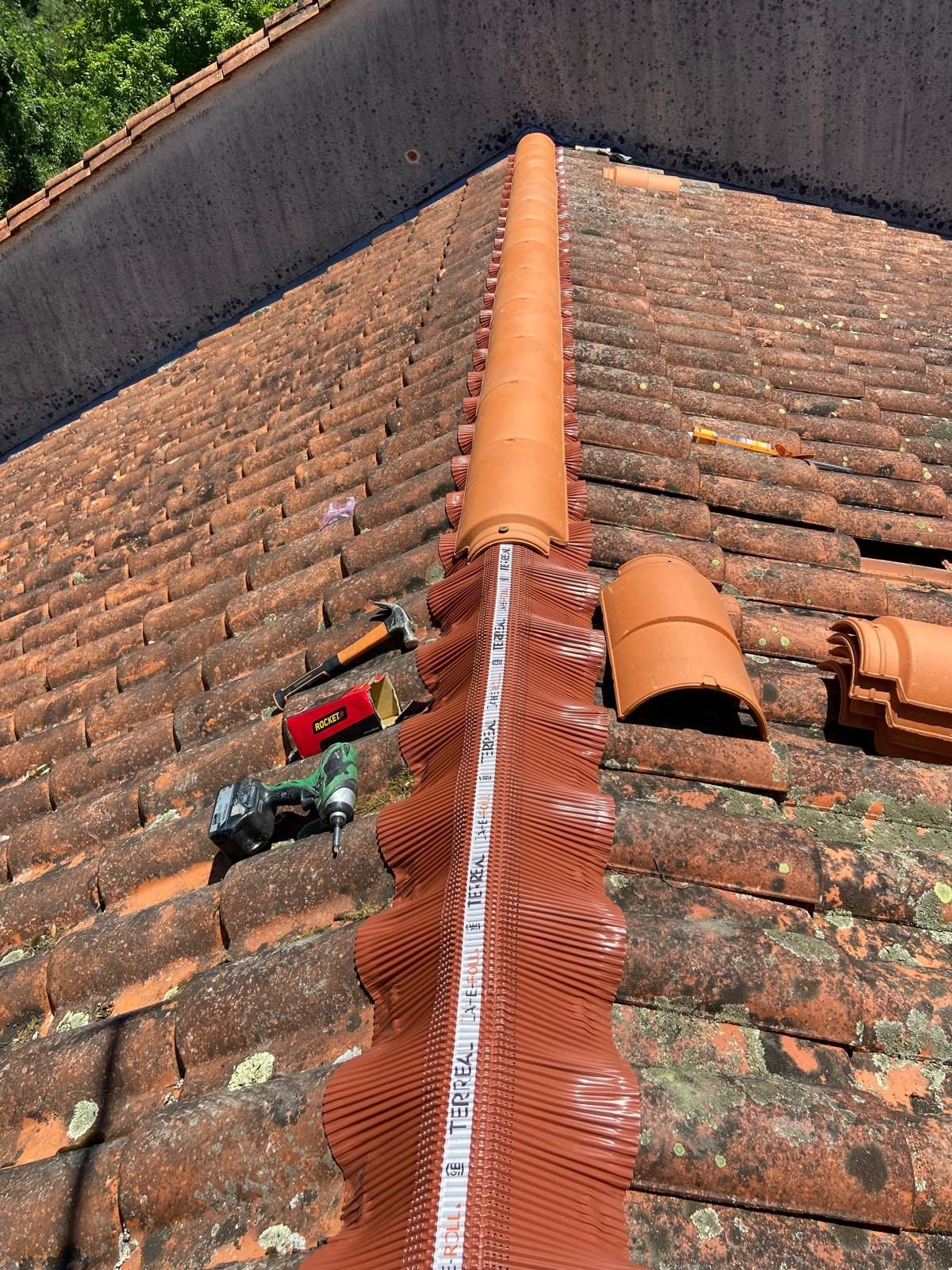 WhatsApp Image 2025-01-01 at 01.19.12 (11)