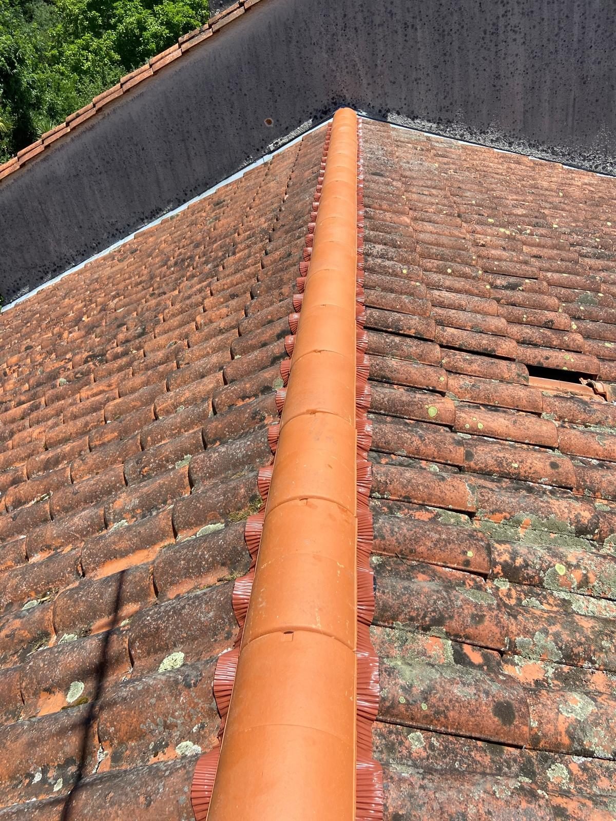 WhatsApp Image 2025-01-01 at 01.19.12 (12)