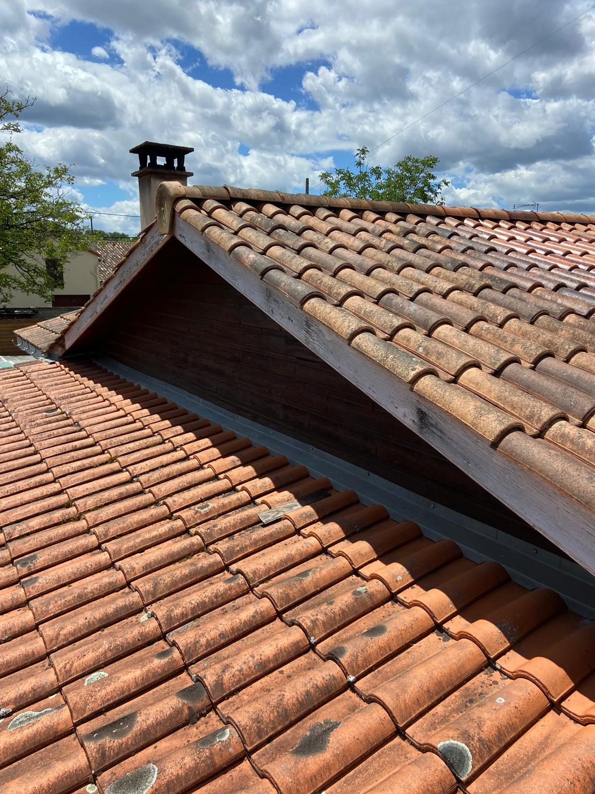 WhatsApp Image 2025-01-01 at 01.19.12 (9)